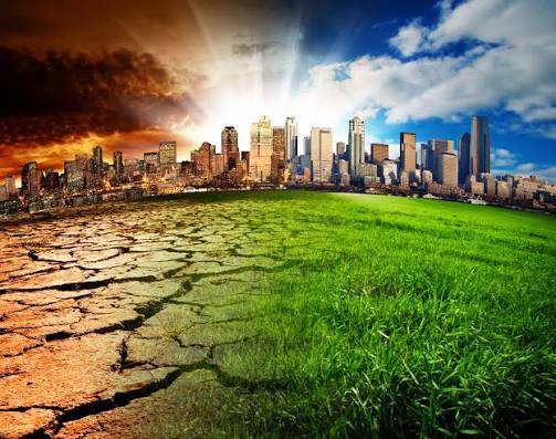 Why Climate Action and Sustainable Development Matter More Than Ever in Uganda