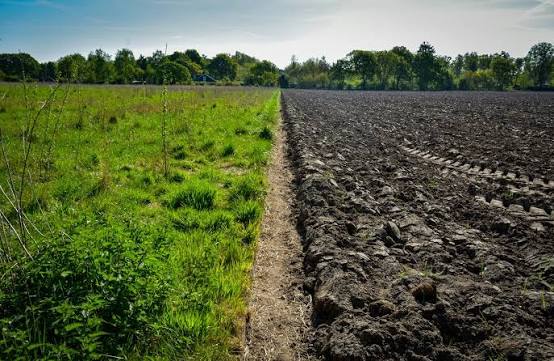 Regenerative Agriculture: Why Africa's Future Depends on Restoring Nature: Insights by Mr. John Kiwewesi (Uganda)